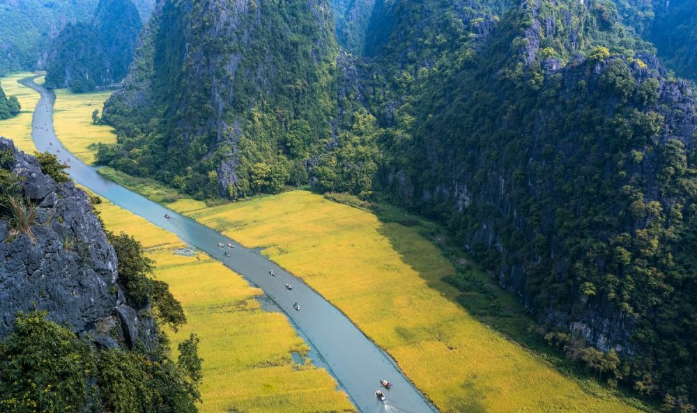 Lưu bản nháp tự động