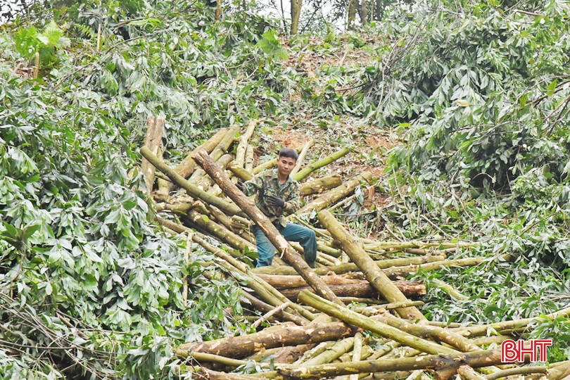 Lưu bản nháp tự động